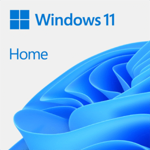 Microsoft Windows 11 Home DVD is a single