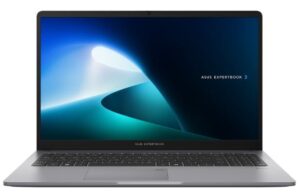 ASUS ExpertBook P1 P1503CVA Core i5 Business